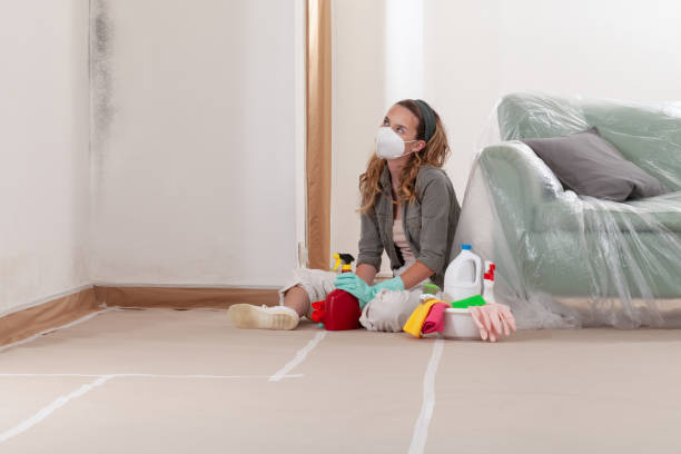 Reliable Mold Remediation contractor in Red Bank, NJ by Cheap Mold Removal