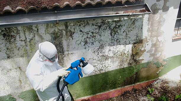 Trusted Crawl Space Mold Removal service in Red Bank, NJ - Cheap Mold Removal